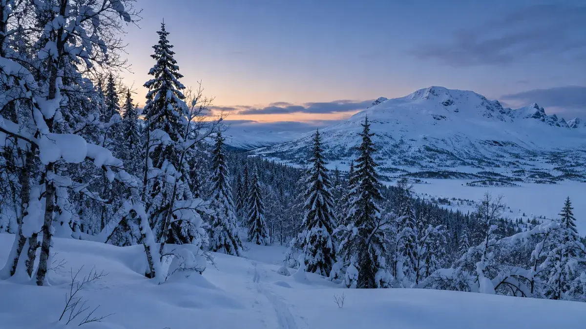 Dyp snø i kanten av en nedsnødd granskog, med et skispor som leder ut mot et hvitt fjell i blåtimen